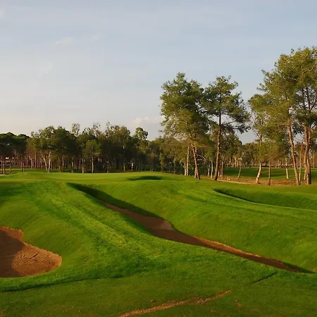 Sueno Golf Белек